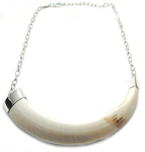 collar-colmillo-de-jabali-modelo-sencillo-con-plata